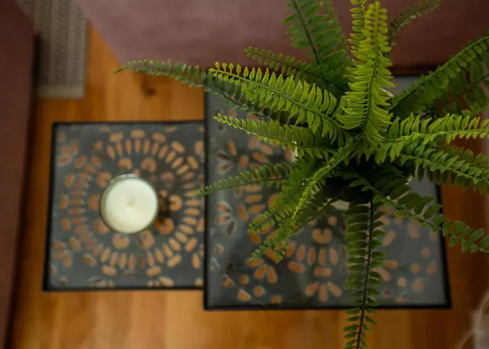 Bright 2-bed Free Parking & Wifi - Walk To Old Town 公寓 卢布尔雅那